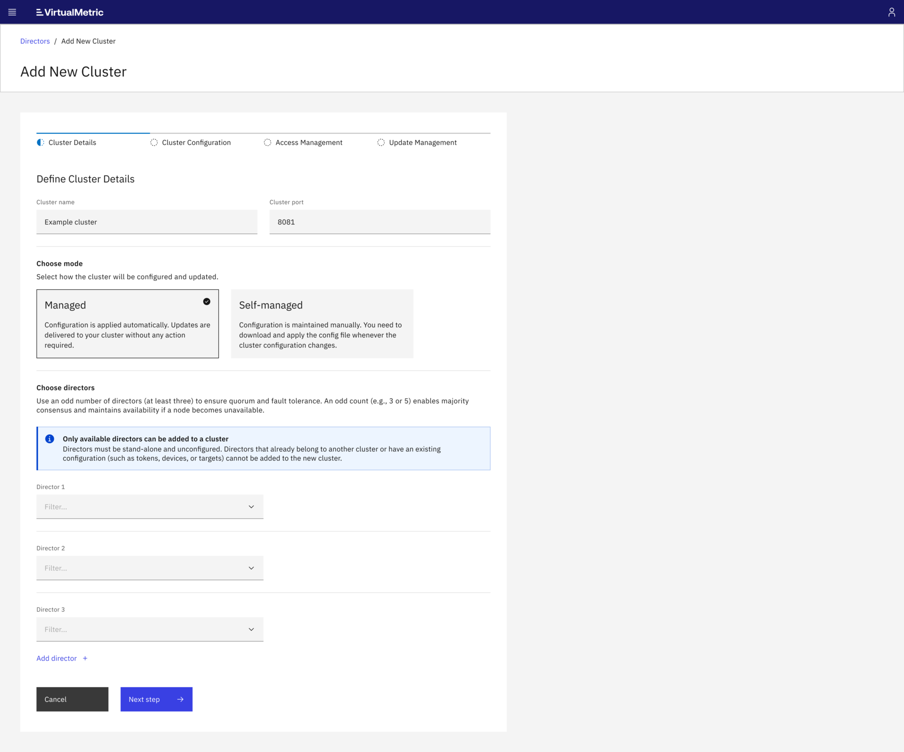 cluster director – virtualmetric